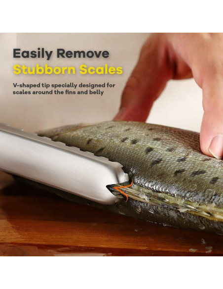 Removedor de Escamas de Pescado Adorambling Acero Inoxidable 21.1 cm
