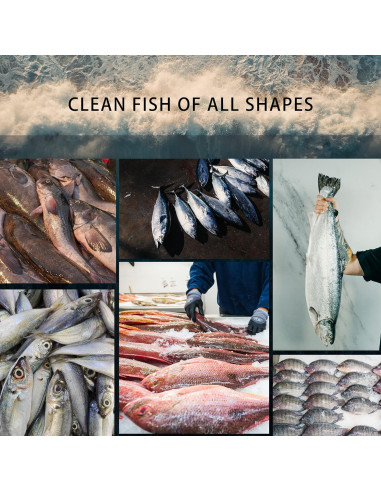 Escalador de Pescado Eléctrico YiDeyuLL 5500 RPM Inalámbrico