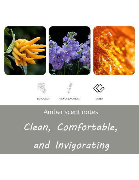 Ambientador de Coche Dcifuu con Fragancia de Ámbar - Kit de Inicio Ambientador de Coche Dcifuu con Fragancia de Ámbar - Kit de Inicio