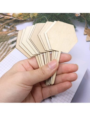 Etiquetas de Madera Hexagonales Honbay 50PCS para Jardín