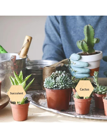 Etiquetas de Madera Hexagonales Honbay 50PCS para Jardín