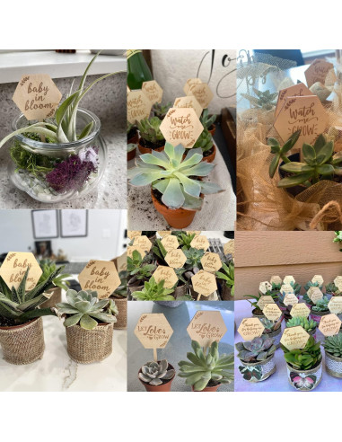 Etiquetas de Madera Hexagonales Honbay 50PCS para Jardín