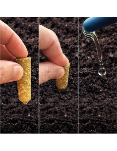 Alimento para Plantas de Interior Mini Picos Viejo Almanaque NPK 5-5-5 2