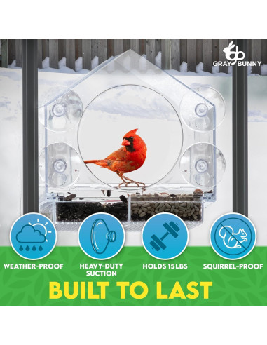 Comedero para Aves de Ventana Gray Bunny 0.71L Transparente