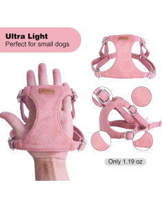 Conjunto Arnés y Correa BUMBIN Rojo para Perros Pequeños 2