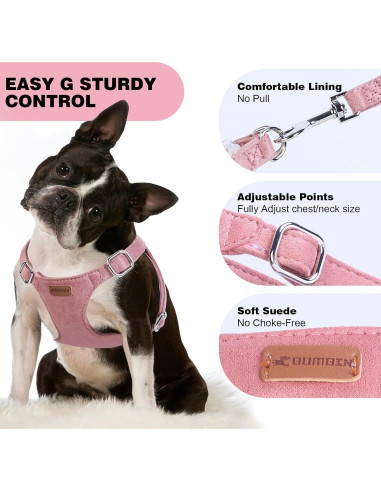 Conjunto Arnés y Correa BUMBIN Rojo para Perros Pequeños