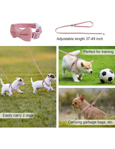 Conjunto Arnés y Correa BUMBIN Rojo para Perros Pequeños