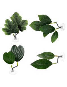 4 Hojas de Betta KALIONE - Accesorios para Acuario Verde