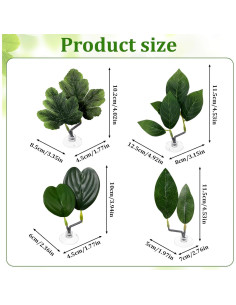 4 Hojas de Betta KALIONE - Accesorios para Acuario Verde 2