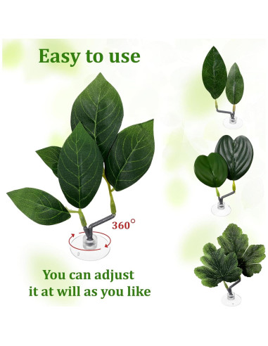 4 Hojas de Betta KALIONE - Accesorios para Acuario Verde