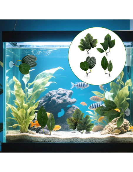 4 Hojas de Betta KALIONE - Accesorios para Acuario Verde