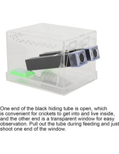 Caja de Grillos Acrílica Shanrya con Tapa Removible (L) 2