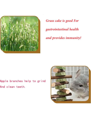 Juguete de Masticar WANBAO para Conejos y Roedores - 2 Piezas