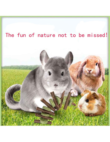 Juguete de Masticar WANBAO para Conejos y Roedores - 2 Piezas