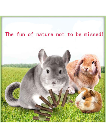 Juguete de Masticar WANBAO para Conejos y Roedores - 2 Piezas Juguete de Masticar WANBAO para Conejos y Roedores - 2 Piezas