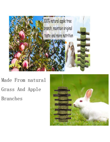 Juguete de Masticar WANBAO para Conejos y Roedores - 2 Piezas