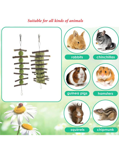 Juguete de Masticar WANBAO para Conejos y Roedores - 2 Piezas