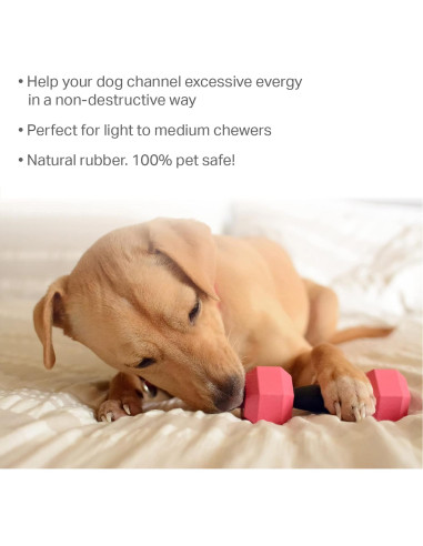 Juguete Dispensador de Golosinas para Perros Friends Forever - 2 Piezas