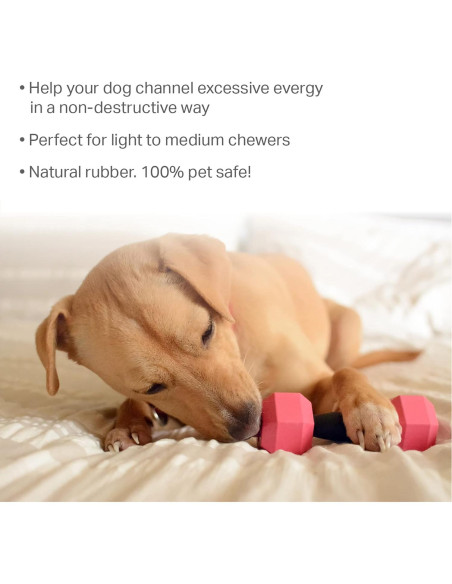 Juguete Dispensador de Golosinas para Perros Friends Forever - 2 Piezas