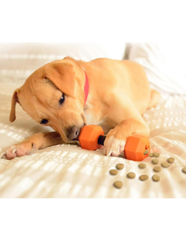 Juguete Dispensador de Golosinas para Perros Friends Forever - 2 Piezas