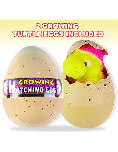 Set de 2 Huevos de Tortuga en Crecimiento ArtCreativity 2