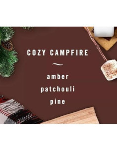 Febreze Ambientador Auto Clip Ventilación Fogata Acogedora 8 Unidades 2