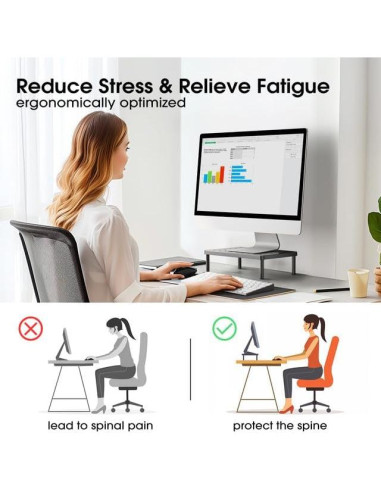 Soporte Ergonómico para Monitor WiseBegan 35.8x23.9cm