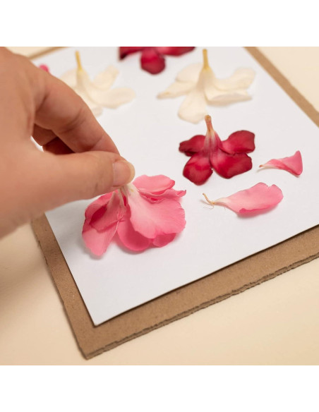 Papel Prensa de Flores PATIKIL 40x30 cm - 60 Hojas Reutilizables