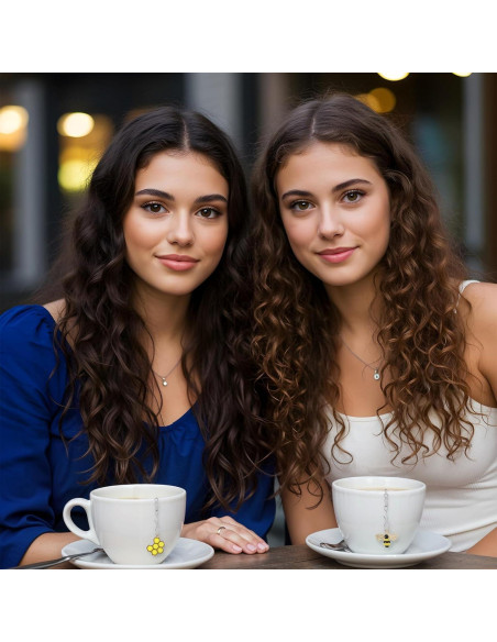 Set de 2 Coladores de Té de Acero Inoxidable LLOUSSAK