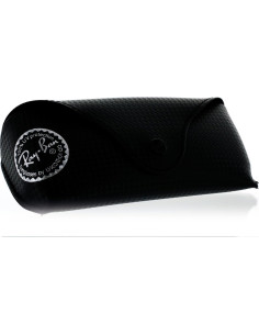 Gafas de sol Ray-Ban 0RB2132 Marco negro 52mm Lente G15 2