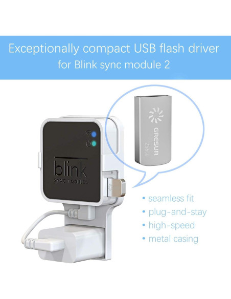 Unidad Flash USB 256GB Gresur para Blink Sincronización