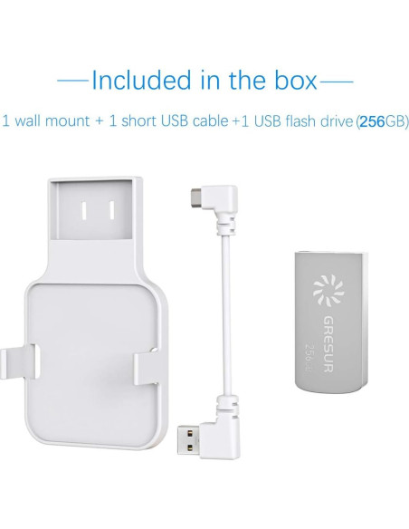 Unidad Flash USB 256GB Gresur para Blink Sincronización