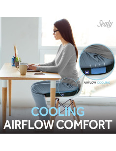 Cojín Viscoelástico Sealy SL11088 para Sillas de Coche y Oficina 2
