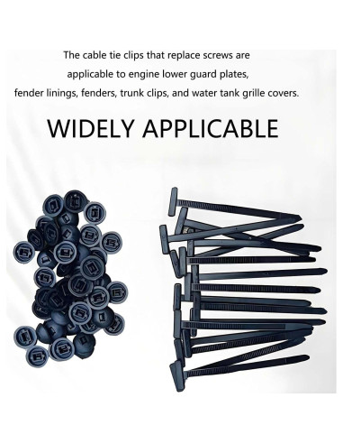 Bridas de Cable Nylon Genérico 30PCS Auto-Bloqueo UV 10.16cm