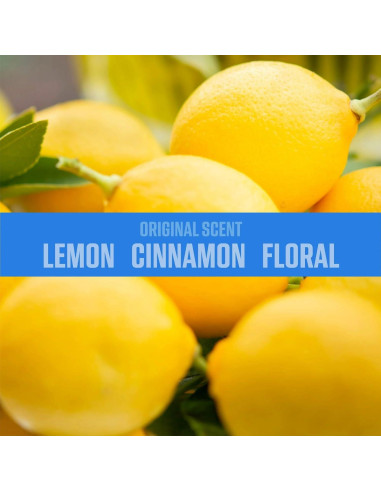 Desinfectante de Aire Ozium 8 Oz Original - Eliminador de Olores