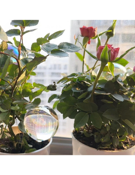 4PCS Esferas de Riego Automáticas Histely 368.5ml Vidrio