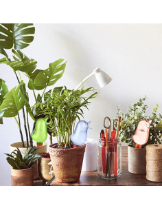 Paquete de 6 Esferas de Riego Automático VSDIOPGDPO 125 ml 2