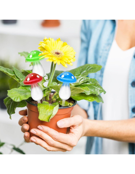 6 Esferas de Riego Automático de Vidrio JarThena para Plantas