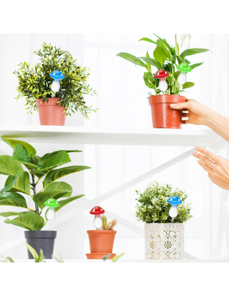6 Esferas de Riego Automático de Vidrio JarThena para Plantas