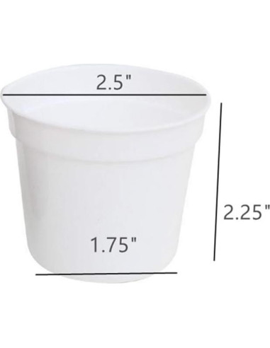 Macetas redondas DODXIAOBEUL para suculentas 40 unidades 6.35 cm