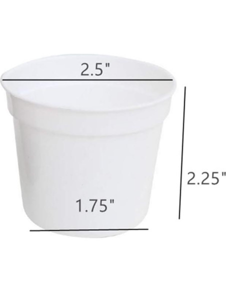 Macetas redondas DODXIAOBEUL para suculentas 40 unidades 6.35 cm Macetas redondas DODXIAOBEUL para suculentas 40 unidades 6.35 cm
