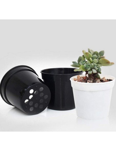 Macetas redondas DODXIAOBEUL para suculentas 40 unidades 6.35 cm Macetas redondas DODXIAOBEUL para suculentas 40 unidades 6.35 cm
