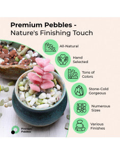 Piedras Decorativas Blancas Pulidas 0.5 cm 4 kg - Jardín 2