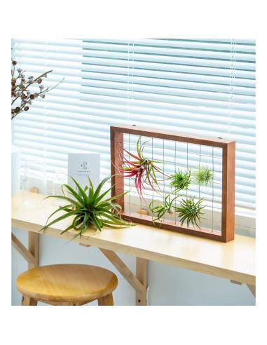 Mkono Soporte Colgante para Plantas de Aire 16" Madera Natural