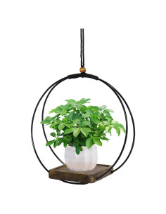 Maceta Colgante Vensovo para Plantas de Interior - 1 Pcs con Soporte de Metal y Base de Madera