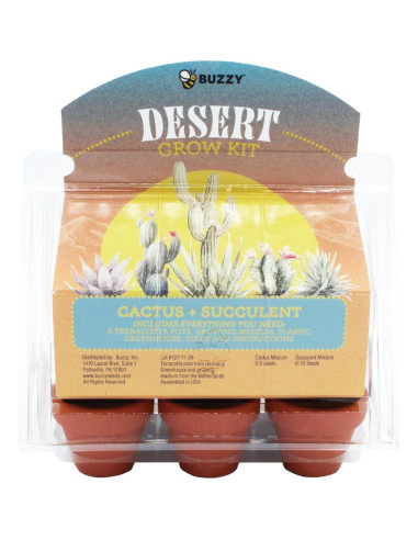Mini Invernadero Buzzy para Cactus y Suculentas - Kit de Jardinería