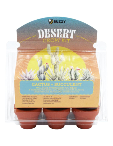 Mini Invernadero Buzzy para Cactus y Suculentas - Kit de Jardinería