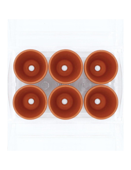 Mini Invernadero Buzzy para Cactus y Suculentas - Kit de Jardinería