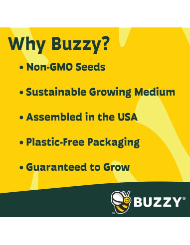 Mini Invernadero Buzzy para Cactus y Suculentas - Kit de Jardinería