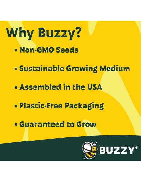 Mini Invernadero Buzzy para Cactus y Suculentas - Kit de Jardinería